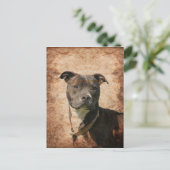 Carte Postale Grunge Pit Bull Terrier (Debout devant)