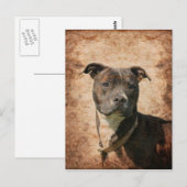 Carte Postale Grunge Pit Bull Terrier (Devant / Derrière)
