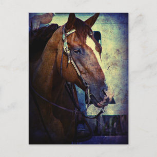 Carte Postale Grunge Sorrel Ouest