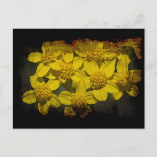 Carte Postale Grungy Yellow Fleurs sauvages (Devant)