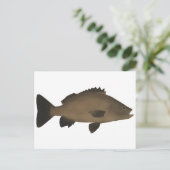 Carte Postale Grunter (Debout devant)