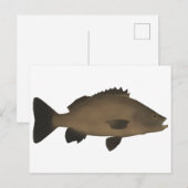 Carte Postale Grunter (Devant / Derrière)