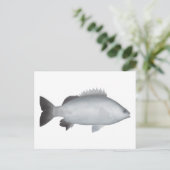 Carte Postale Grunter de Welsh (Debout devant)