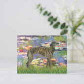 Carte Postale Gryhound (br8) - Lys 2 (Debout devant)