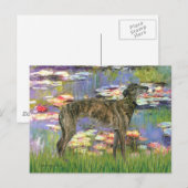 Carte Postale Gryhound (br8) - Lys 2 (Devant / Derrière)