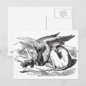 Carte Postale Gryphon (Devant / Derrière)