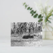 Carte Postale Guadalcanal (Debout devant)