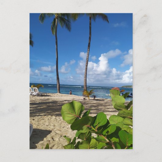Carte postale Guadeloupe (Devant)