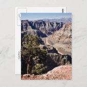 Carte Postale Guano Point (Devant / Derrière)