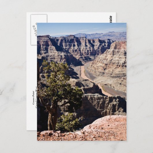 Carte Postale Guano Point (Devant / Derrière)