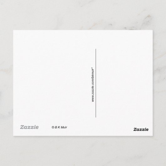 Carte postale - Guara rose (Dos)