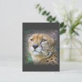 Carte Postale guépard (Debout devant)