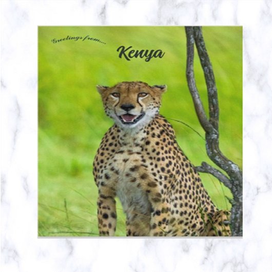 Carte Postale Guépard au Kenya