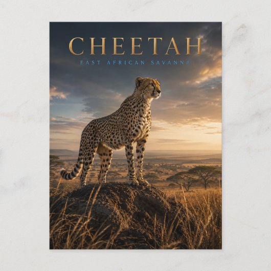 Carte Postale Guépard Savane d'Afrique de l'Est ANIMALS (Devant)