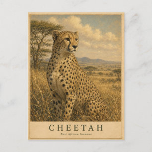 Carte Postale Guépard Savane d'Afrique de l'Est VINTAGE