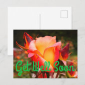 Carte postale Guérissez vite Arc-en-ciel Sorbet Ro (Devant / Derrière)