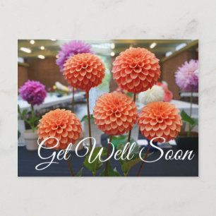 Carte postale Guérissez vite Dahlia Rose Toscano #