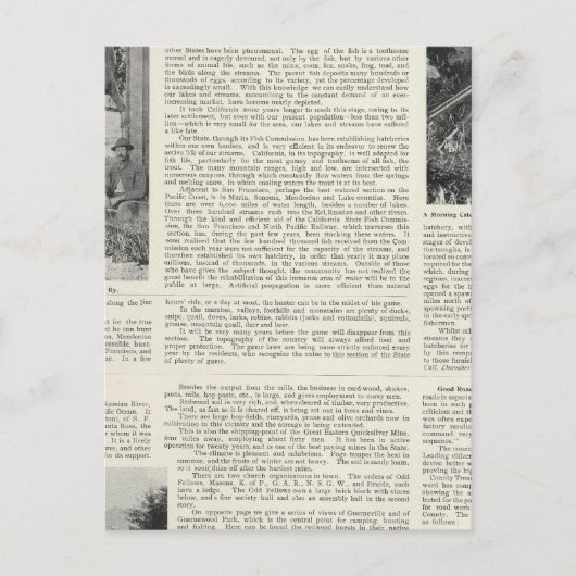 Carte Postale Guerneville, Californie (Devant)