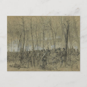 Carte Postale Guerre civile américaine : La nature sauvage