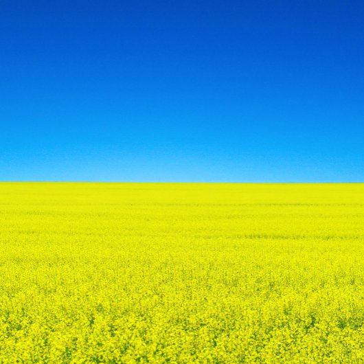 Carte postale Guerre et Paix