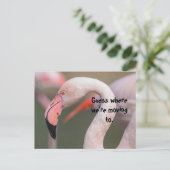 CARTE POSTALE GUESS WHERE RELOCATION CARD (Debout devant)