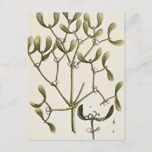 Carte Postale Gui "d'un de fines herbes curieux", 1782