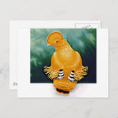 Carte Postale Guianan Cock-of-the-rock (Devant / Derrière)