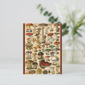 Carte Postale Guide du champignon vintage (Debout devant)