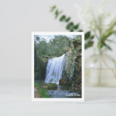 Carte Postale Guide Falls Tasmanie (Debout devant)