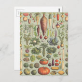 Carte Postale Guide français du jardin (Devant / Derrière)