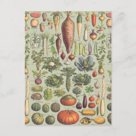 Carte Postale Guide français du jardin (Devant)