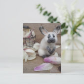 Carte Postale Guilty rabbit (Debout devant)