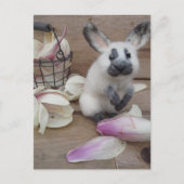 Carte Postale Guilty rabbit (Devant)