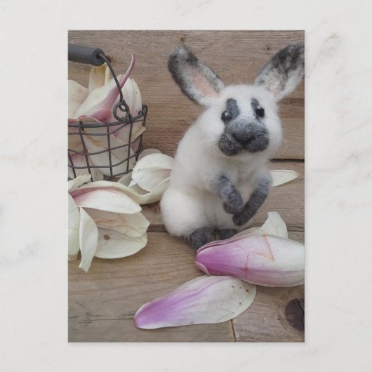 Carte Postale Guilty rabbit (Devant)