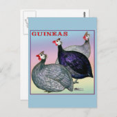 Carte Postale Guineas Trois Fowl (Devant / Derrière)