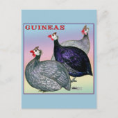 Carte Postale Guineas Trois Fowl (Devant)