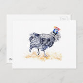 Carte Postale Guinée (Devant / Derrière)