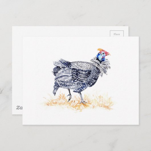 Carte Postale Guinée (Devant / Derrière)