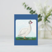 Carte Postale Guinée blanche (Debout devant)