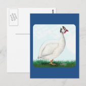 Carte Postale Guinée blanche (Devant / Derrière)