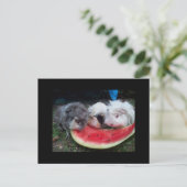 Carte Postale guinée eatting watermellon (Debout devant)