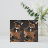 Carte Postale Guitariste Chat Cool (Debout devant)