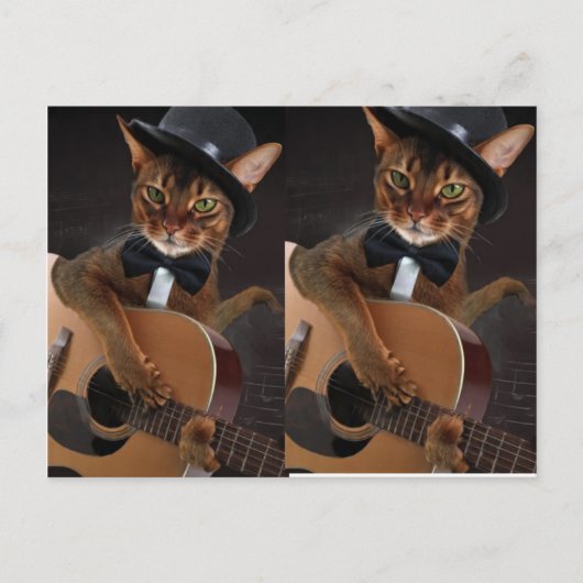 Carte Postale Guitariste Chat Cool (Devant)