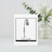 Carte Postale Guittara Pensilis. (Debout devant)