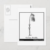 Carte Postale Guittara Pensilis. (Devant / Derrière)