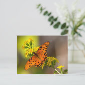Carte Postale Gulf Fritillary alias Papillon de la Passion sur V (Debout devant)