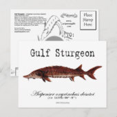 Carte postale Gulf-White (Devant / Derrière)
