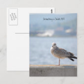 Carte Postale Gull de mer2, Observation d'oiseaux à Duluth, MN (Devant / Derrière)