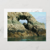 Carte Postale Gull Island, Alaska (Devant / Derrière)