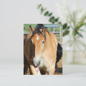 Carte postale Gulliver Tongue Out (Debout devant)